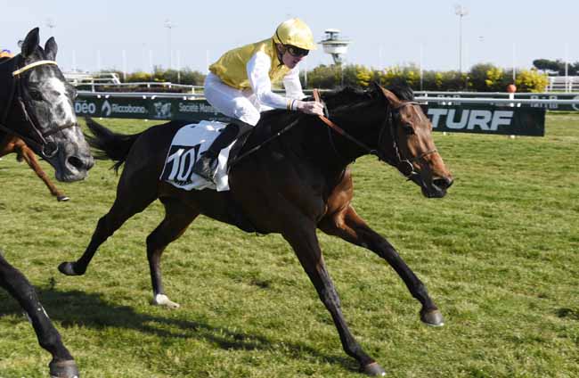 Photo d'arrivée de la course pmu PRIX DE LA PROMENADE DE LA PLAGE à CAGNES-SUR-MER le Mercredi 20 février 2019