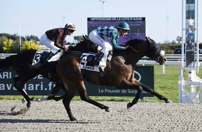 Photo d'arrivée de la course pmu PRIX DE LA PRINCIPAUTE DE MONACO à CAGNES-SUR-MER le Mercredi 20 février 2019