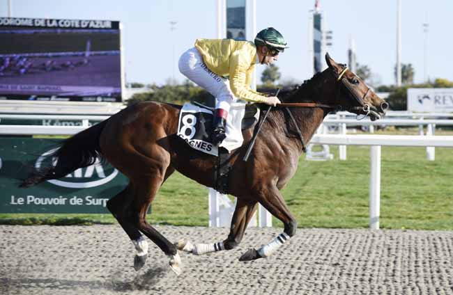 Photo d'arrivée de la course pmu PRIX DE SAINT-RAPHAEL à CAGNES-SUR-MER le Mercredi 20 février 2019