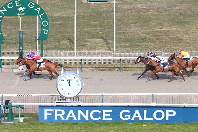 Photo d'arrivée de la course pmu PRIX DU CROCHET DE COYE à CHANTILLY le Jeudi 21 février 2019