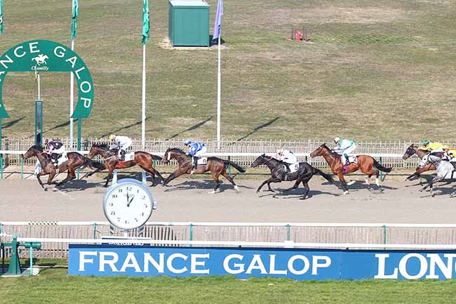 Photo d'arrivée de la course pmu PRIX DE CHAUVRY à CHANTILLY le Jeudi 21 février 2019
