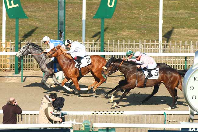 Photo d'arrivée de la course pmu PRIX PIC HARDI à CHANTILLY le Vendredi 22 février 2019