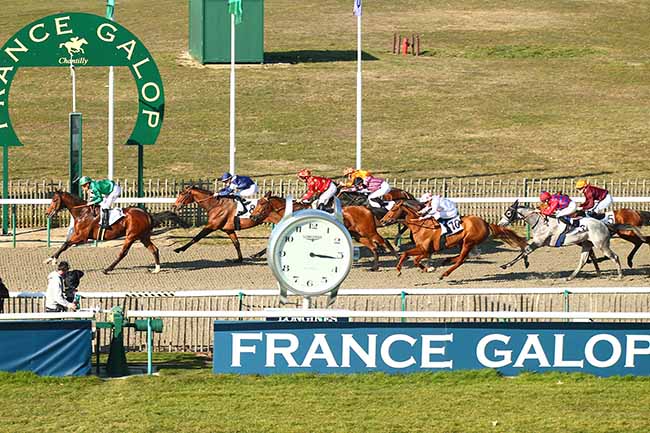 Photo d'arrivée de la course pmu PRIX DE SAINT-MARTIN-DU-TERTRE à CHANTILLY le Vendredi 22 février 2019