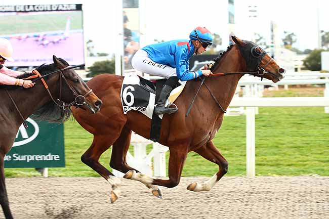 Photo d'arrivée de la course pmu PRIX DE TOULOUSE à CAGNES-SUR-MER le Samedi 23 février 2019