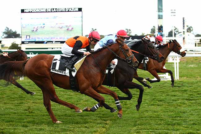 Photo d'arrivée de la course pmu GRAND PRIX DU DEPARTEMENT 06 - PREMIERE ETAPE DU DEFI DU GALOP 2019 à CAGNES-SUR-MER le Samedi 23 février 2019