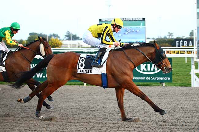 Photo d'arrivée de la course pmu PRIX DU GALIBIER à CAGNES-SUR-MER le Samedi 23 février 2019