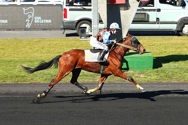 Photo d'arrivée de la course pmu PRIX D'AVENCHES - PRIX GOL DE LETRA à PARIS-VINCENNES le Dimanche 24 février 2019