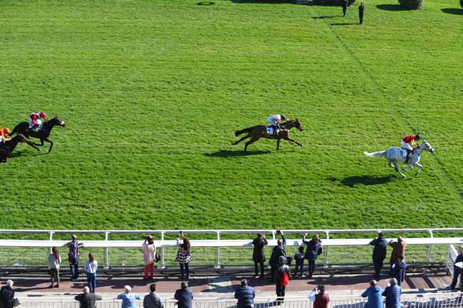 Photo d'arrivée de la course pmu PRIX BEUGNOT à AUTEUIL le Mardi 26 février 2019