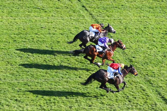 Photo d'arrivée de la course pmu PRIX MARISE à AUTEUIL le Mardi 26 février 2019