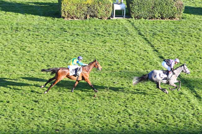 Photo d'arrivée de la course pmu PRIX OISELEUR à AUTEUIL le Mardi 26 février 2019