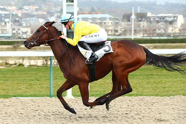 Photo d'arrivée de la course pmu PRIX D'ALDERNEY à DEAUVILLE le Vendredi 1 mars 2019