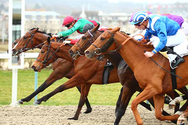 Photo d'arrivée de la course pmu PRIX DU PERCHE à DEAUVILLE le Vendredi 1 mars 2019