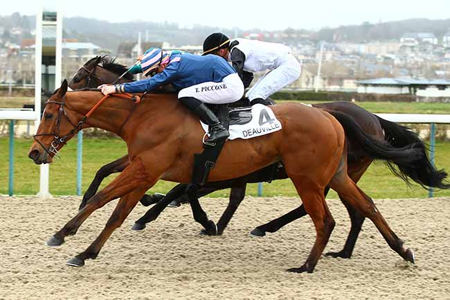 Photo d'arrivée de la course pmu PRIX DE SAINT-JULIEN-LE-FAUCON à DEAUVILLE le Vendredi 1 mars 2019