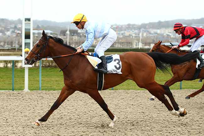 Photo d'arrivée de la course pmu PRIX DU CAP DE LA HAGUE à DEAUVILLE le Vendredi 1 mars 2019