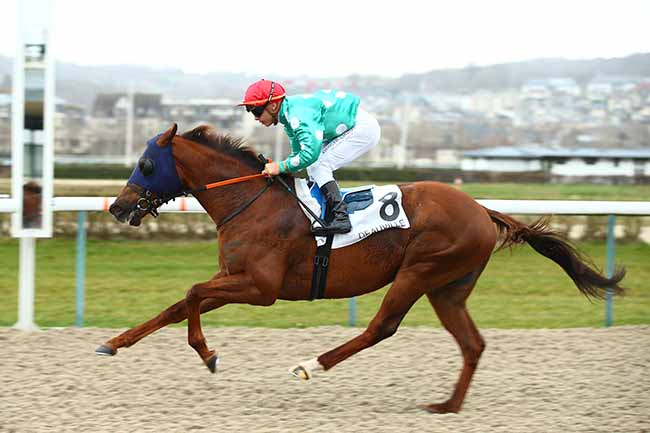 Photo d'arrivée de la course pmu PRIX DU CAP DE LA HEVE à DEAUVILLE le Vendredi 1 mars 2019