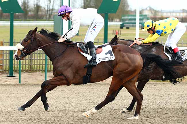 Photo d'arrivée de la course pmu PRIX DE BRANVILLE à CHANTILLY le Samedi 2 mars 2019