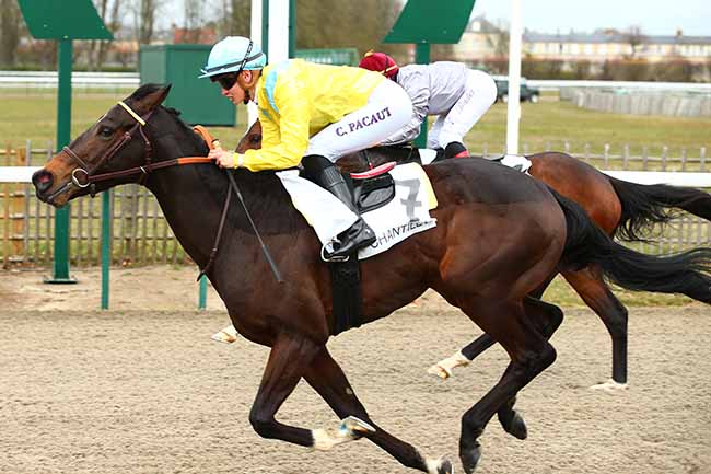 Photo d'arrivée de la course pmu PRIX DE BACQUEVILLE à CHANTILLY le Samedi 2 mars 2019