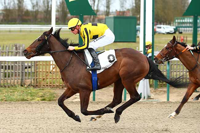 Photo d'arrivée de la course pmu PRIX DE LESSARD-ET-LE-CHENE à CHANTILLY le Samedi 2 mars 2019
