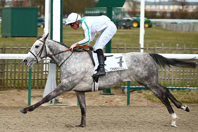 Photo d'arrivée de la course pmu PRIX DE SAINT-VALERY à CHANTILLY le Samedi 2 mars 2019