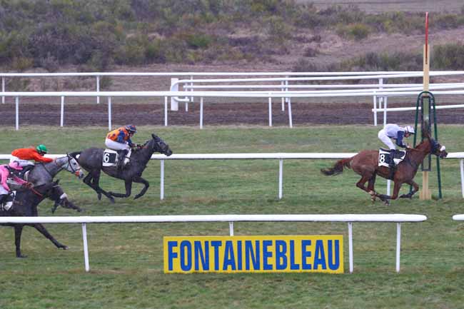 Photo d'arrivée de la course pmu PRIX RABASTENS à FONTAINEBLEAU le Lundi 4 mars 2019