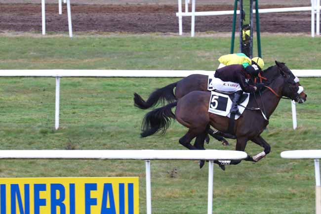 Photo d'arrivée de la course pmu PRIX DU MONT CHAUVET à FONTAINEBLEAU le Lundi 4 mars 2019
