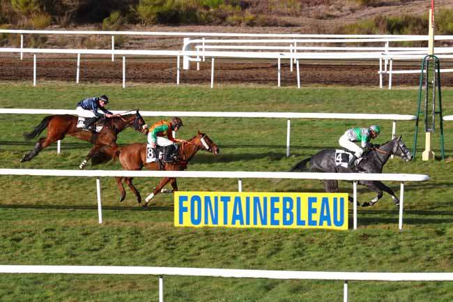Photo d'arrivée de la course pmu PRIX STRADA à FONTAINEBLEAU le Lundi 4 mars 2019