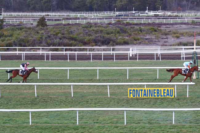 Photo d'arrivée de la course pmu PRIX BAROUD III à FONTAINEBLEAU le Lundi 4 mars 2019
