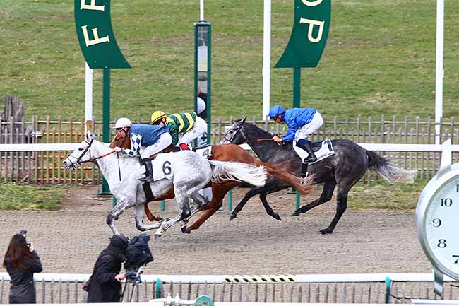 Photo d'arrivée de la course pmu PRIX MONTJEU à CHANTILLY le Mardi 5 mars 2019
