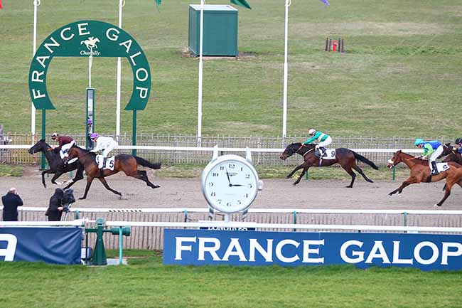Photo d'arrivée de la course pmu PRIX DU BOIS BONNET à CHANTILLY le Mardi 5 mars 2019