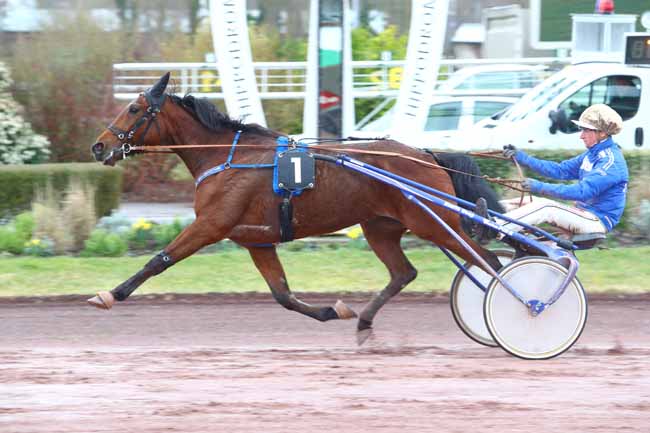 Photo d'arrivée de la course pmu PRIX DE LA BOUCHERIE SEBASTIEN POCHOLLE à AMIENS le Mercredi 6 mars 2019