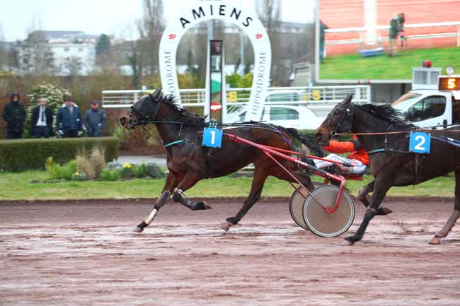 Photo d'arrivée de la course pmu PRIX LE SULKY - SAINT-VALERY-SUR-SOMME à AMIENS le Mercredi 6 mars 2019