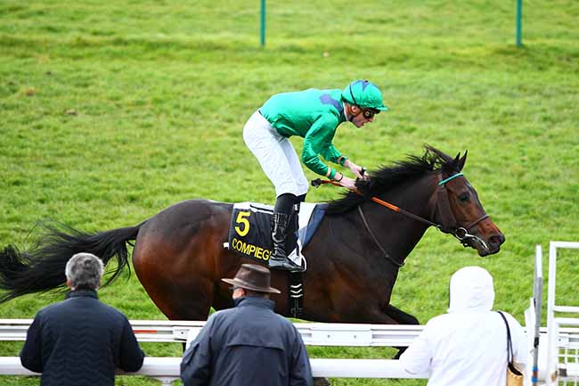 Photo d'arrivée de la course pmu PRIX DE LA LAUNETTE à COMPIEGNE le Mercredi 6 mars 2019