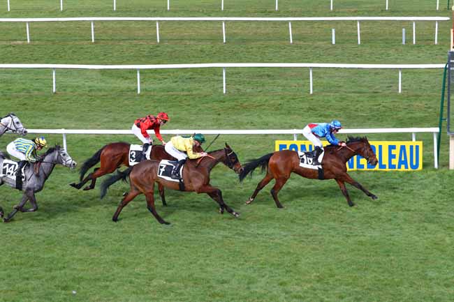 Photo d'arrivée de la course pmu PRIX DE FONTAINEBLEAU TOURISME à FONTAINEBLEAU le Jeudi 7 mars 2019