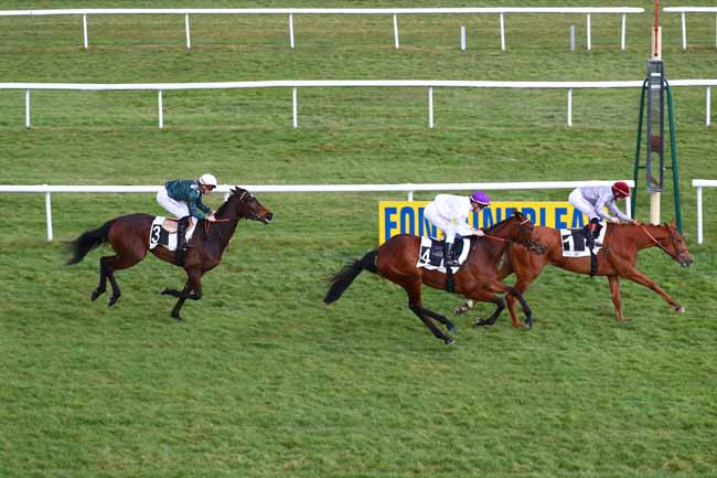 Photo d'arrivée de la course pmu PRIX DE LA DAME JOUANNE à FONTAINEBLEAU le Jeudi 7 mars 2019