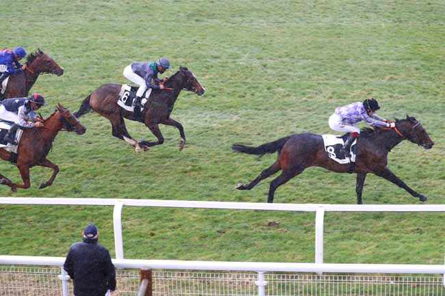 Photo d'arrivée de la course pmu PRIX DE MALESHERBES à FONTAINEBLEAU le Jeudi 7 mars 2019