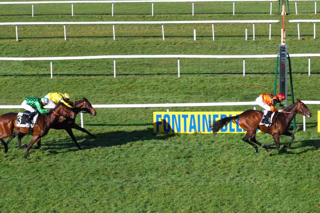 Photo d'arrivée de la course pmu PRIX DE LARCHANT à FONTAINEBLEAU le Jeudi 7 mars 2019