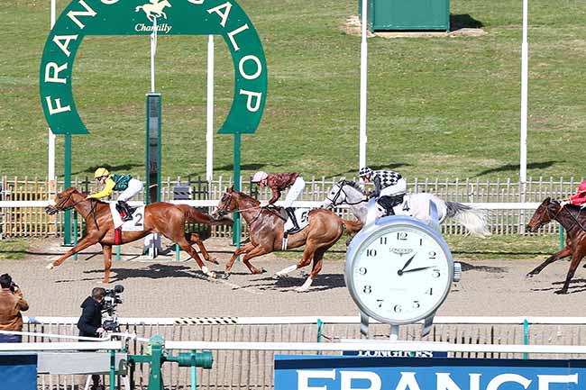 Photo d'arrivée de la course pmu PRIX DU CARREFOUR ROSE à CHANTILLY le Vendredi 8 mars 2019