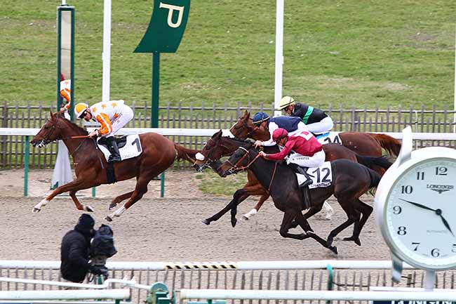 Photo d'arrivée de la course pmu PRIX DE L'ETANG CHAPON à CHANTILLY le Vendredi 8 mars 2019