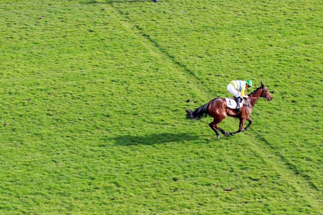Photo d'arrivée de la course pmu PRIX VENTRILOQUE à AUTEUIL le Samedi 9 mars 2019