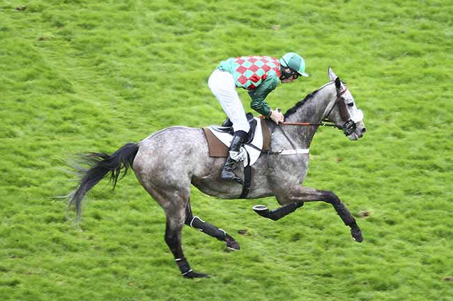 Photo d'arrivée de la course pmu PRIX COUSIN PONS à AUTEUIL le Samedi 9 mars 2019