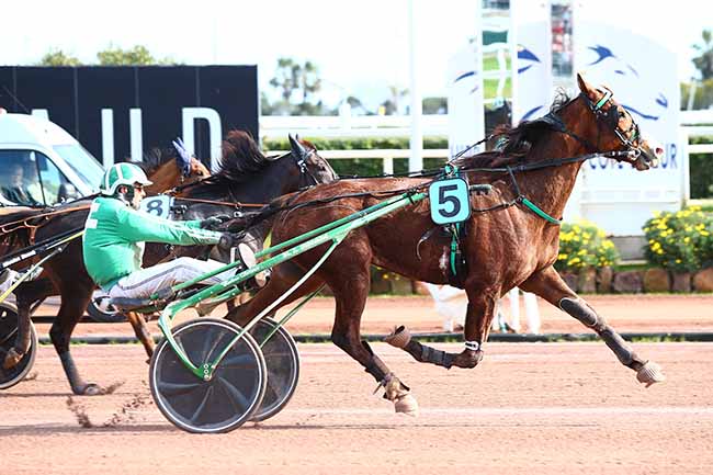 Photo d'arrivée de la course pmu PRIX DU CLUB DE L'ECO à CAGNES-SUR-MER le Dimanche 10 mars 2019