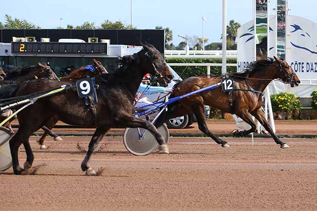 Photo d'arrivée de la course pmu PRIX DE ROME - TOR DI VALLE à CAGNES-SUR-MER le Dimanche 10 mars 2019