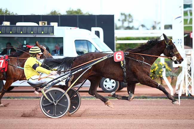 Photo d'arrivée de la course pmu PRIX FRANCE BLEU AZUR à CAGNES-SUR-MER le Dimanche 10 mars 2019
