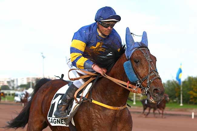 Photo d'arrivée de la course pmu PRIX TV MAGAZINE - NICE-MATIN à CAGNES-SUR-MER le Dimanche 10 mars 2019