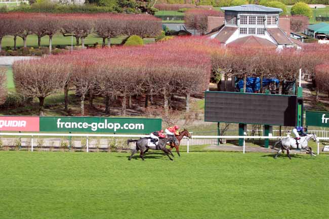 Photo d'arrivée de la course pmu PRIX D'HERBLAY à SAINT-CLOUD le Dimanche 10 mars 2019