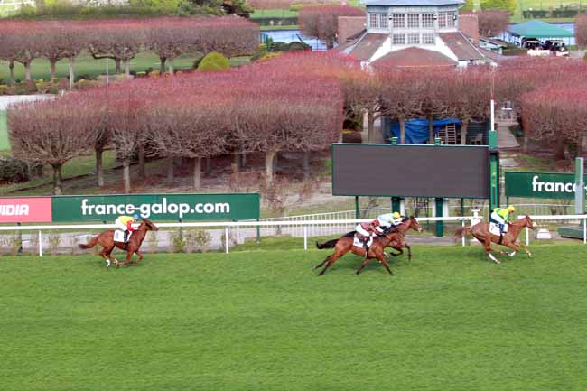 Photo d'arrivée de la course pmu PRIX ROSE DE MAI à SAINT-CLOUD le Dimanche 10 mars 2019