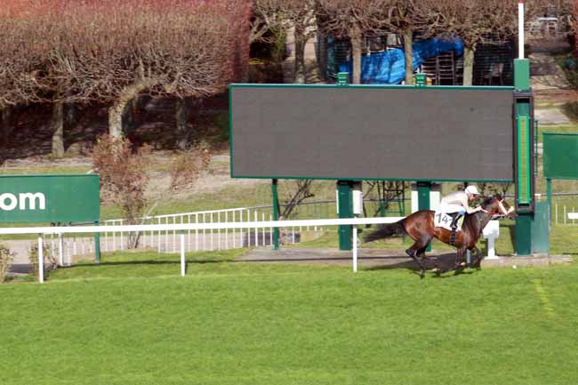 Photo d'arrivée de la course pmu PRIX DU TREMBLAY à SAINT-CLOUD le Dimanche 10 mars 2019