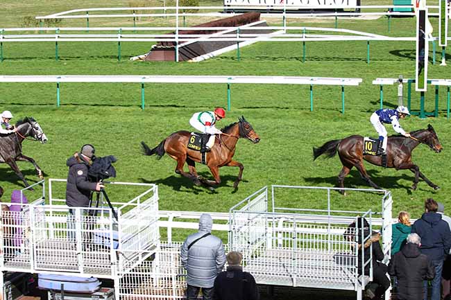 Photo d'arrivée de la course pmu PRIX DE BETHISY SAINT-PIERRE à COMPIEGNE le Lundi 11 mars 2019