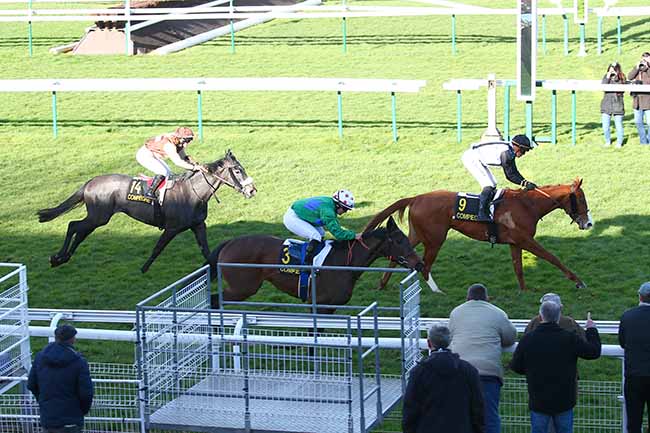 Photo d'arrivée de la course pmu PRIX D'HUMIERES à COMPIEGNE le Lundi 11 mars 2019