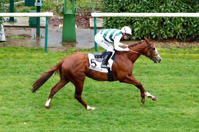 Photo d'arrivée de la course pmu PRIX RONDE DE NUIT à CHANTILLY le Jeudi 14 mars 2019